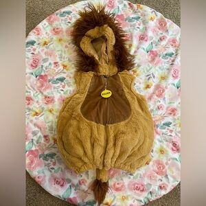 Toddler Lion Halloween Costume Size 18 months
